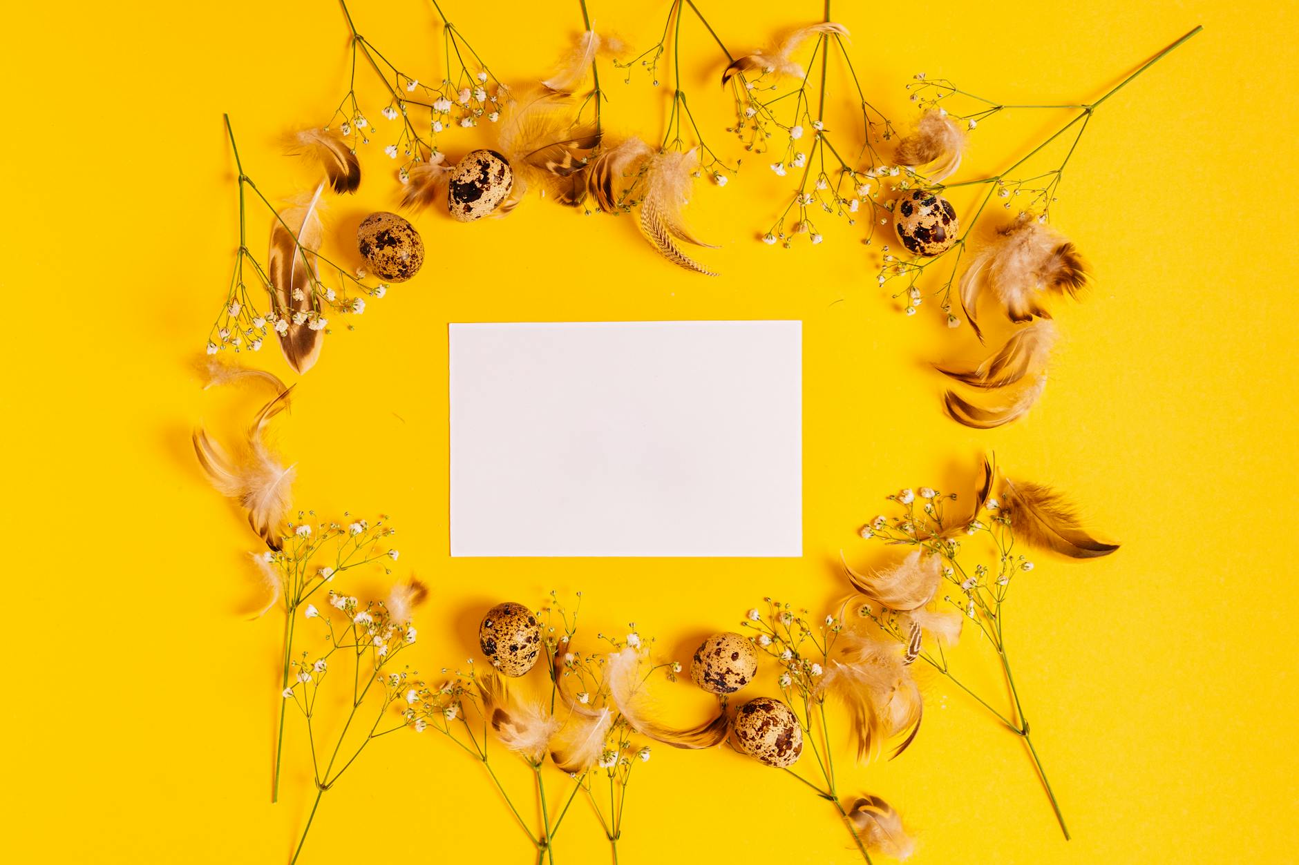 Puste zaproszenie boho z piórkami, jajkami przepiórki i kwiatami na żółci