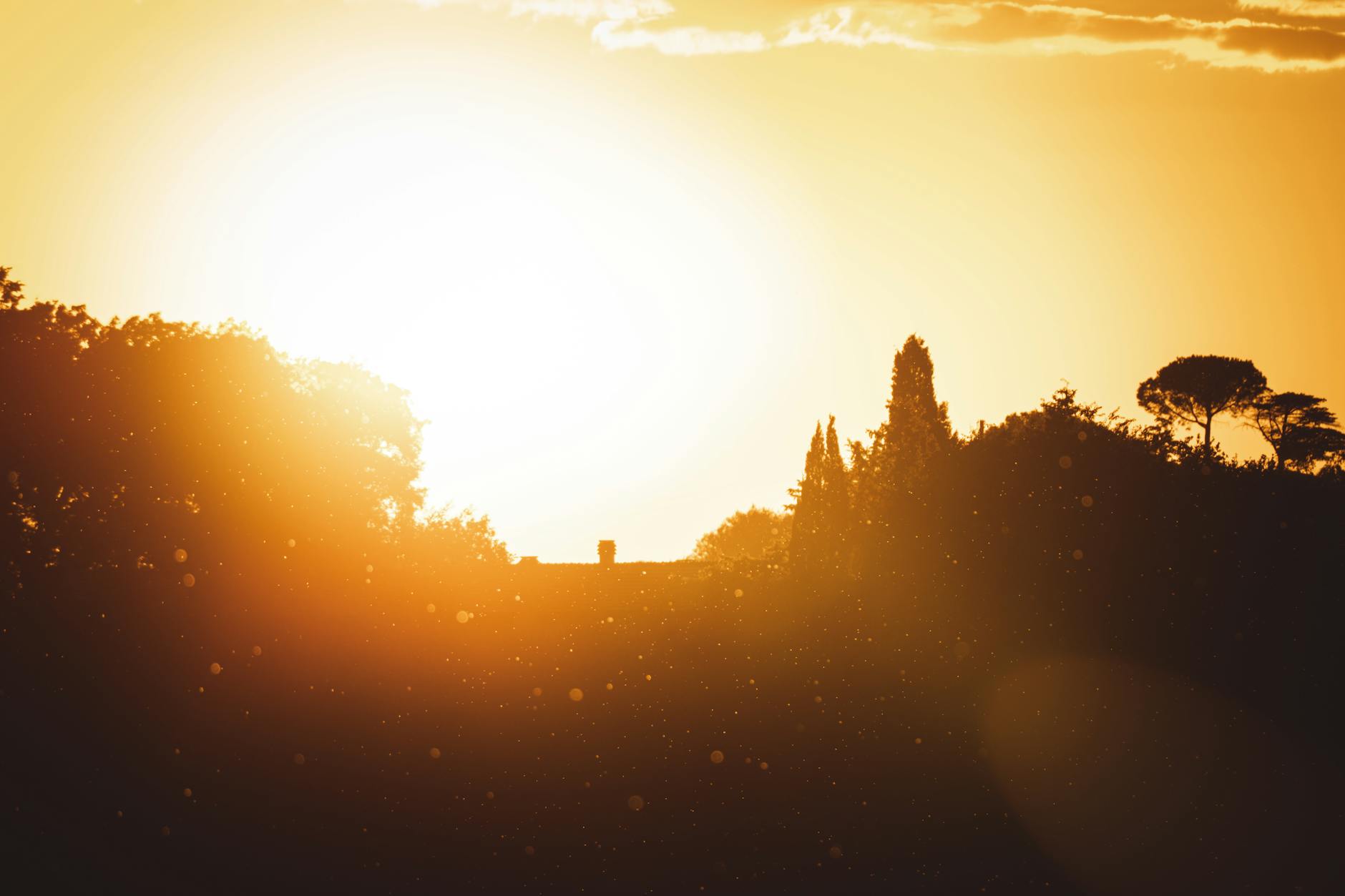 Zachód słońca nad pagórkami z ciemnymi sylwetkami drzew